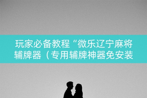 玩家必备教程“微乐辽宁麻将辅牌器（专用辅牌神器免安装）