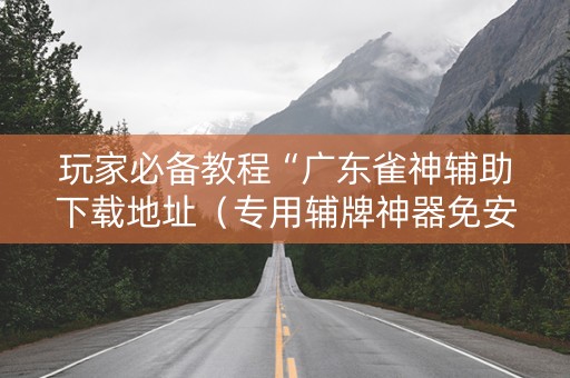 玩家必备教程“广东雀神辅助下载地址（专用辅牌神器免安装）