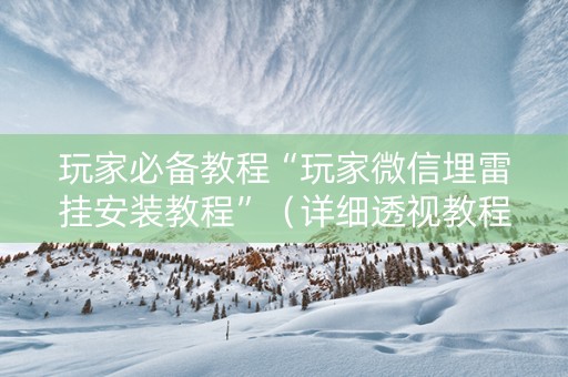 玩家必备教程“玩家微信埋雷挂安装教程”（详细透视教程）-哔哩哔哩