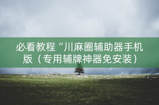 必看教程“川麻圈辅助器手机版（专用辅牌神器免安装）