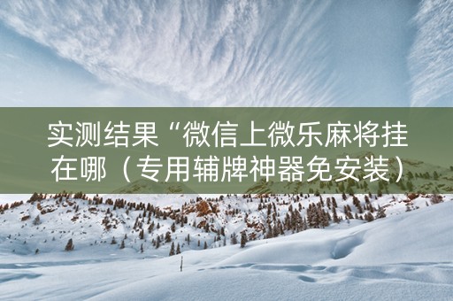 实测结果“微信上微乐麻将挂在哪（专用辅牌神器免安装）