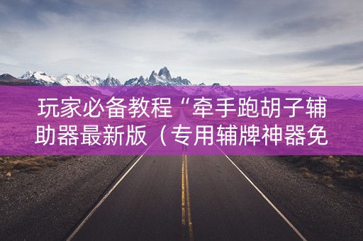 玩家必备教程“牵手跑胡子辅助器最新版（专用辅牌神器免安装）
