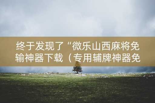 终于发现了“微乐山西麻将免输神器下载（专用辅牌神器免安装）