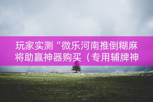 玩家实测“微乐河南推倒糊麻将助赢神器购买（专用辅牌神器免安装）