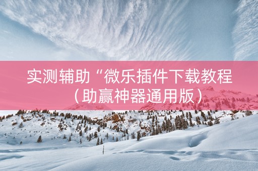 实测辅助“微乐插件下载教程（助赢神器通用版）