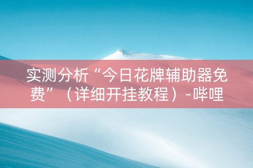 实测分析“今日花牌辅助器免费”（详细开挂教程）-哔哩哔哩
