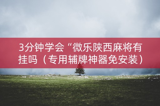 3分钟学会“微乐陕西麻将有挂吗（专用辅牌神器免安装）