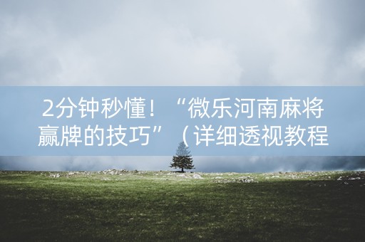 2分钟秒懂！“微乐河南麻将赢牌的技巧”（详细透视教程）-哔哩哔哩