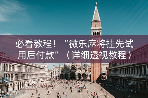 必看教程！“微乐麻将挂先试用后付款”（详细透视教程）-哔哩哔哩