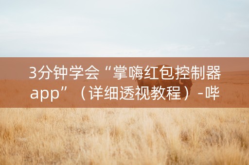 3分钟学会“掌嗨红包控制器app”（详细透视教程）-哔哩哔哩