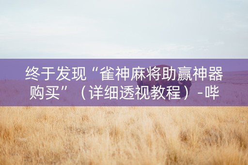 终于发现“雀神麻将助赢神器购买”（详细透视教程）-哔哩哔哩