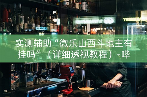 实测辅助“微乐山西斗地主有挂吗”（详细透视教程）-哔哩哔哩