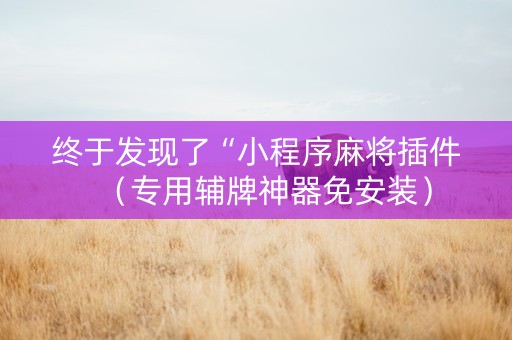 终于发现了“小程序麻将插件（专用辅牌神器免安装）