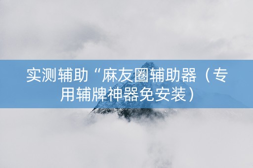 实测辅助“麻友圈辅助器（专用辅牌神器免安装）