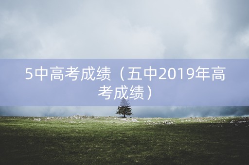 5中高考成绩（五中2019年高考成绩）