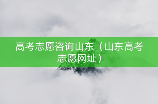 高考志愿咨询山东（山东高考志愿网址）