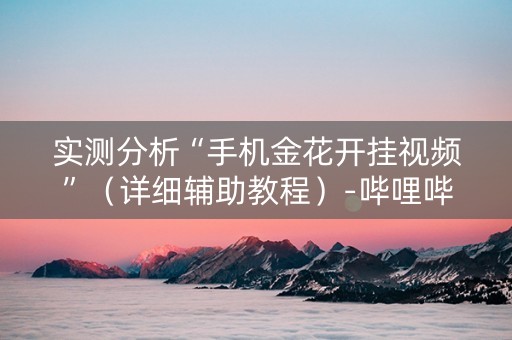 实测分析“手机金花开挂视频”（详细辅助教程）-哔哩哔哩