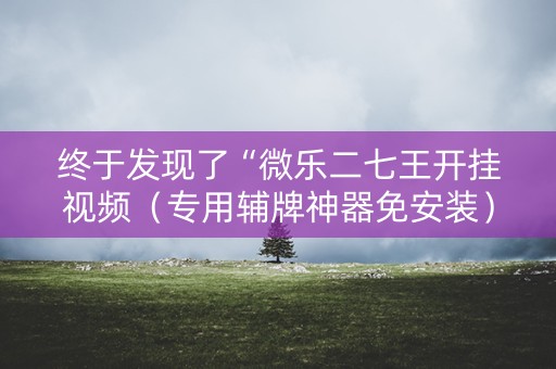 终于发现了“微乐二七王开挂视频（专用辅牌神器免安装）