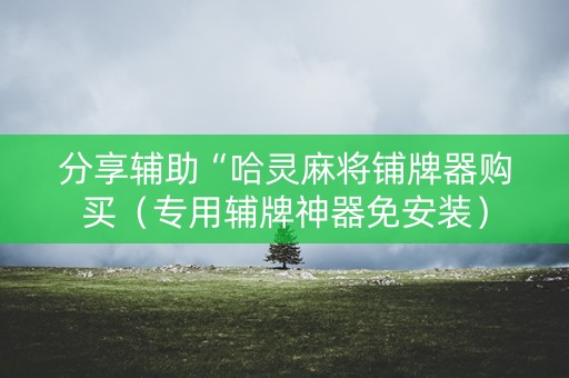 分享辅助“哈灵麻将铺牌器购买（专用辅牌神器免安装）