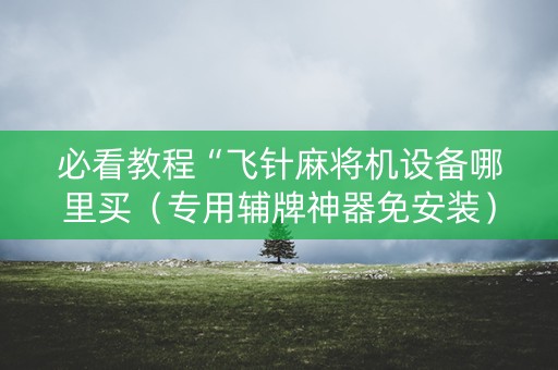 必看教程“飞针麻将机设备哪里买（专用辅牌神器免安装）