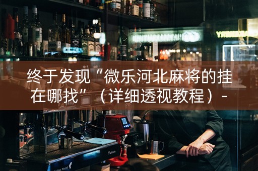 终于发现“微乐河北麻将的挂在哪找”（详细透视教程）-哔哩哔哩