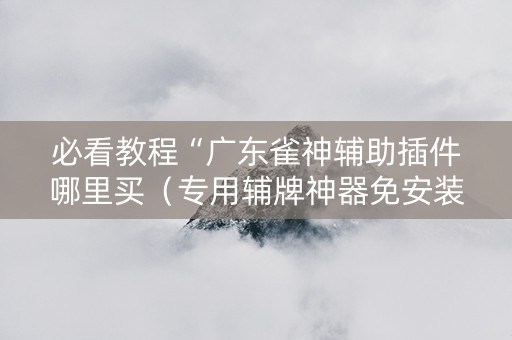 必看教程“广东雀神辅助插件哪里买（专用辅牌神器免安装）