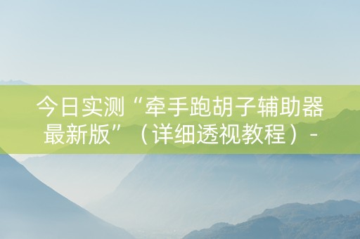 今日实测“牵手跑胡子辅助器最新版”（详细透视教程）-哔哩哔哩