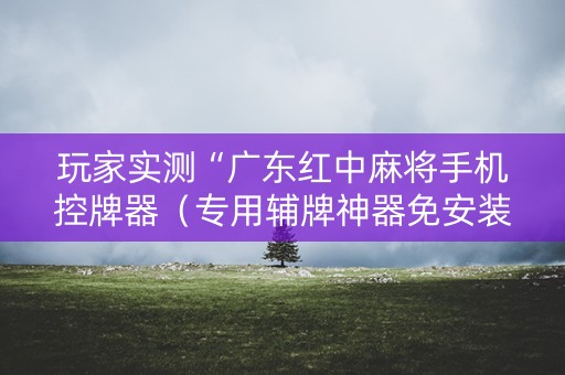 玩家实测“广东红中麻将手机控牌器（专用辅牌神器免安装）