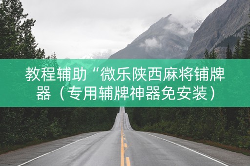 教程辅助“微乐陕西麻将铺牌器（专用辅牌神器免安装）