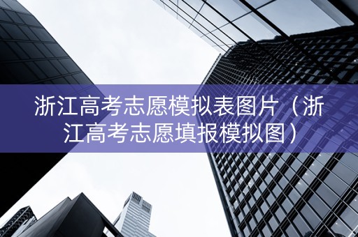 浙江高考志愿模拟表图片（浙江高考志愿填报模拟图）