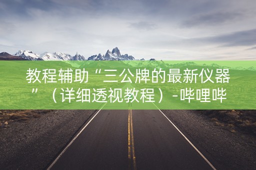 教程辅助“三公牌的最新仪器”（详细透视教程）-哔哩哔哩