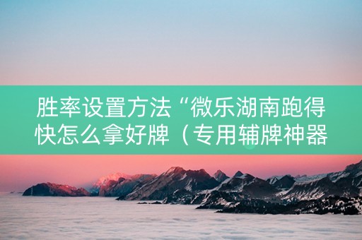胜率设置方法“微乐湖南跑得快怎么拿好牌（专用辅牌神器免安装）