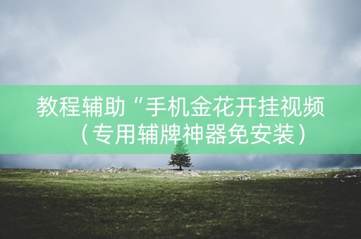 教程辅助“手机金花开挂视频（专用辅牌神器免安装）