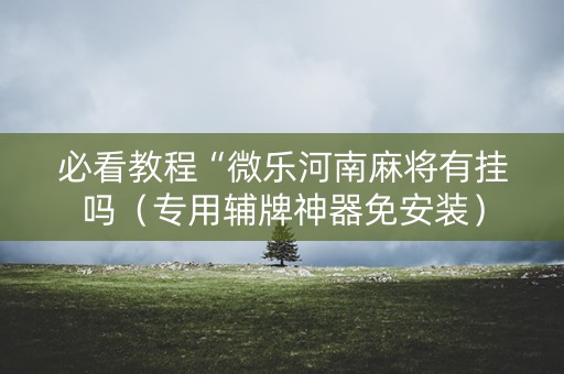 必看教程“微乐河南麻将有挂吗（专用辅牌神器免安装）