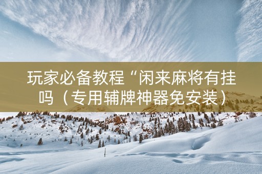 玩家必备教程“闲来麻将有挂吗（专用辅牌神器免安装）