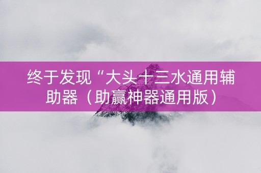 终于发现“大头十三水通用辅助器（助赢神器通用版）