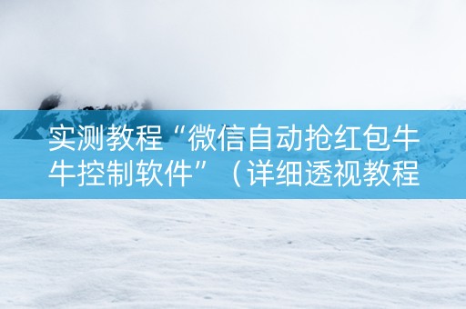 实测教程“微信自动抢红包牛牛控制软件”（详细透视教程）-哔哩哔哩