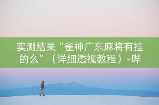 实测结果“雀神广东麻将有挂的么”（详细透视教程）-哔哩哔哩