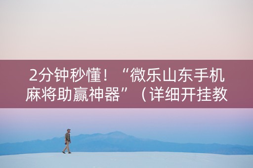 2分钟秒懂！“微乐山东手机麻将助赢神器”（详细开挂教程）-哔哩哔哩