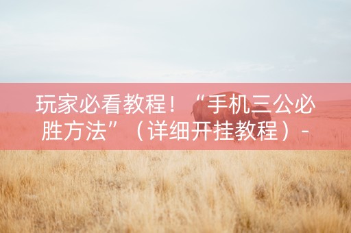 玩家必看教程！“手机三公必胜方法”（详细开挂教程）-哔哩哔哩