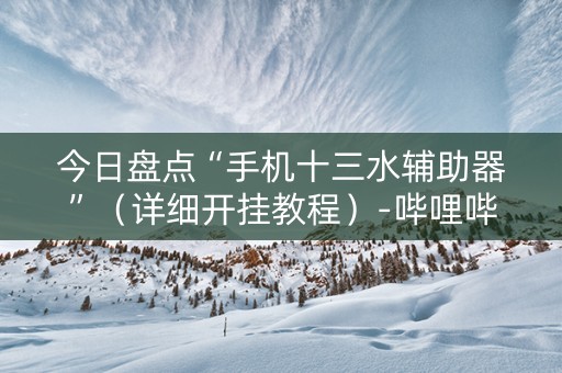 今日盘点“手机十三水辅助器”（详细开挂教程）-哔哩哔哩