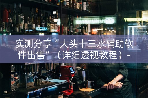 实测分享“大头十三水辅助软件出售”（详细透视教程）-哔哩哔哩