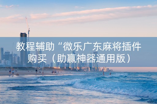 教程辅助“微乐广东麻将插件购买（助赢神器通用版）