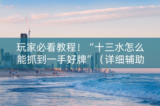 玩家必看教程！“十三水怎么能抓到一手好牌”（详细辅助教程）-哔哩哔哩