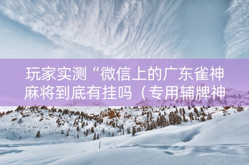 玩家实测“微信上的广东雀神麻将到底有挂吗（专用辅牌神器免安装）