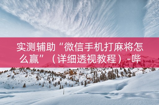 实测辅助“微信手机打麻将怎么赢”（详细透视教程）-哔哩哔哩