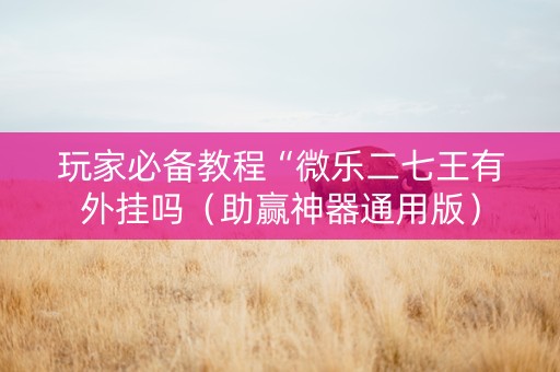 玩家必备教程“微乐二七王有外挂吗（助赢神器通用版）