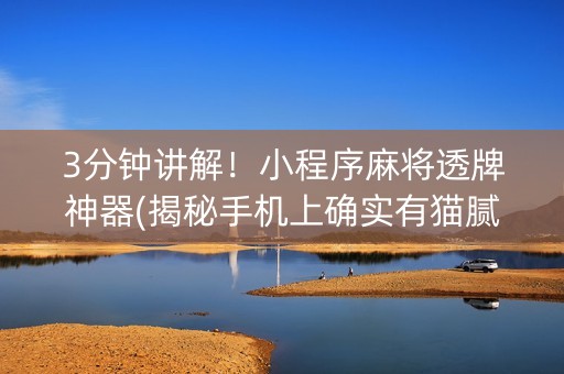 3分钟讲解！小程序麻将透牌神器(揭秘手机上确实有猫腻)