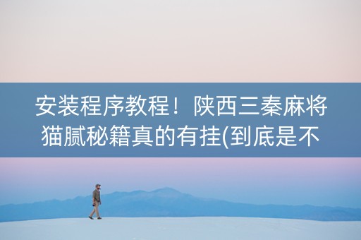 安装程序教程！陕西三秦麻将猫腻秘籍真的有挂(到底是不是有挂)