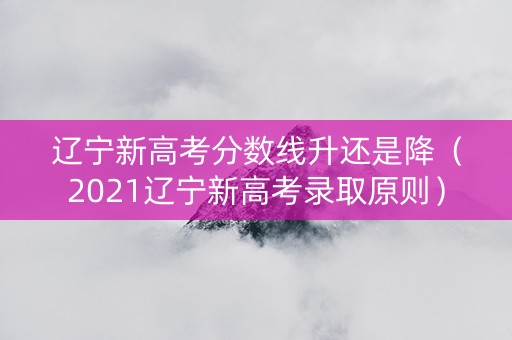 辽宁新高考分数线升还是降（2021辽宁新高考录取原则）